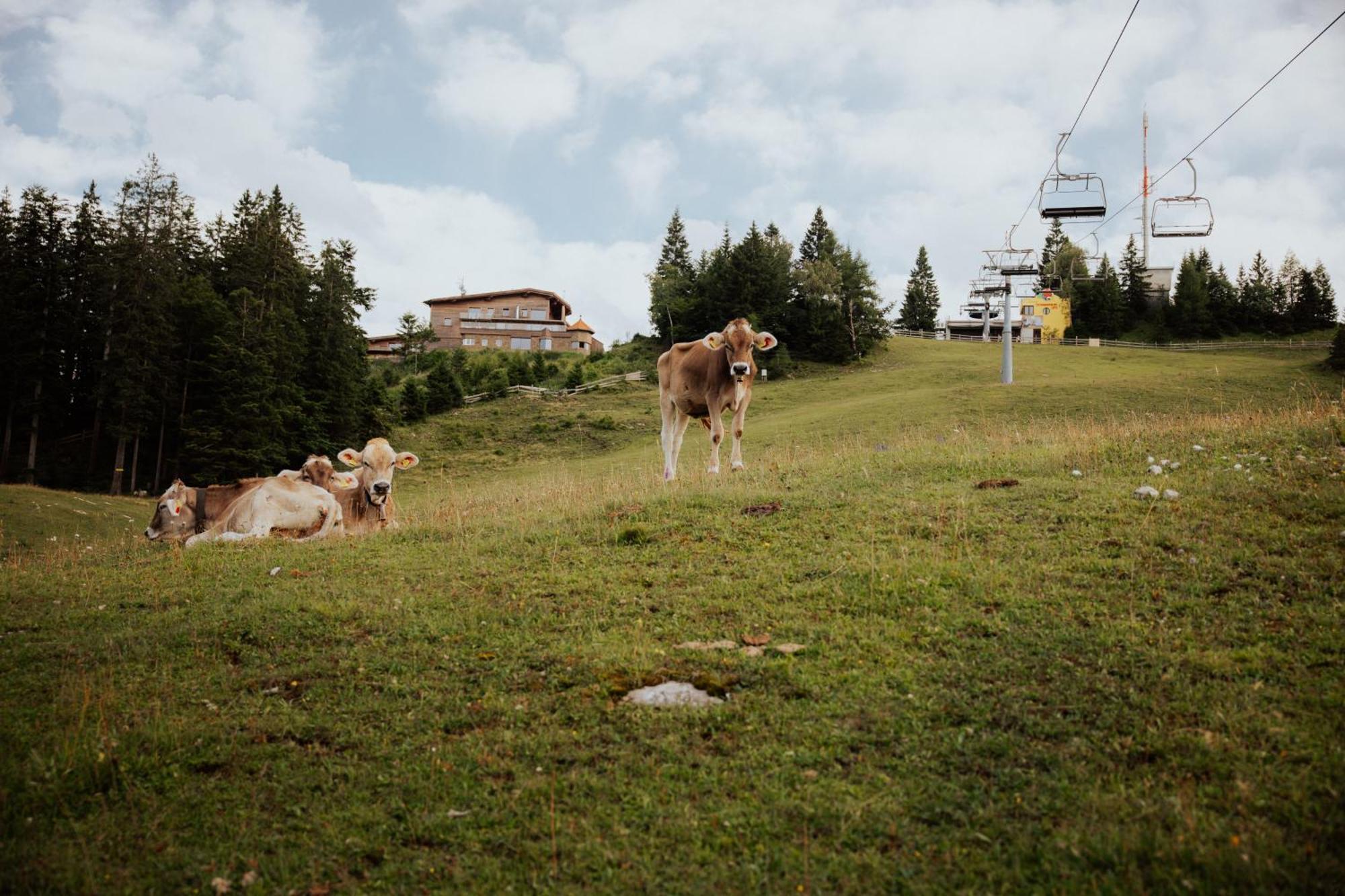 Chalet G12 - Mountain Luxury Apartments Seefeld no Tirol Exterior foto