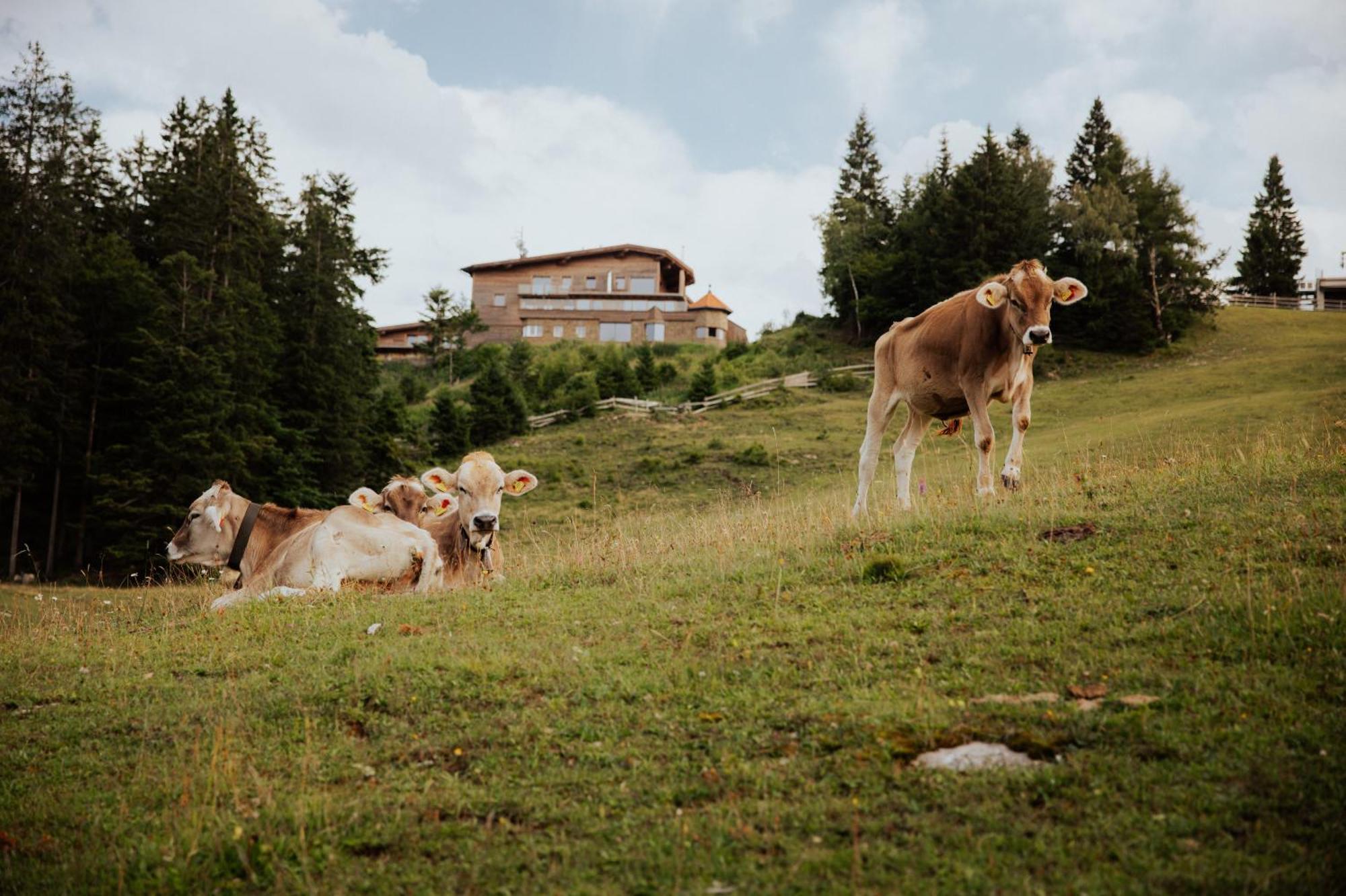 Chalet G12 - Mountain Luxury Apartments Seefeld no Tirol Exterior foto